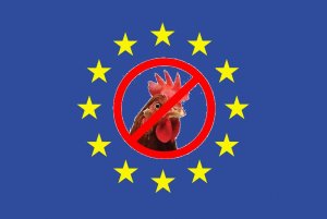EUFlagChicken
